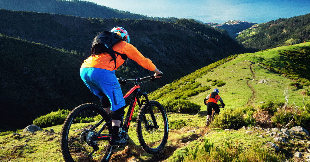 Trek Mountain bike